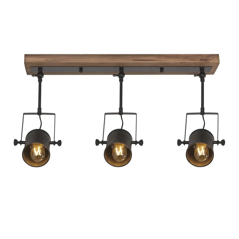 Calven Three-Head Directional Ceiling Light