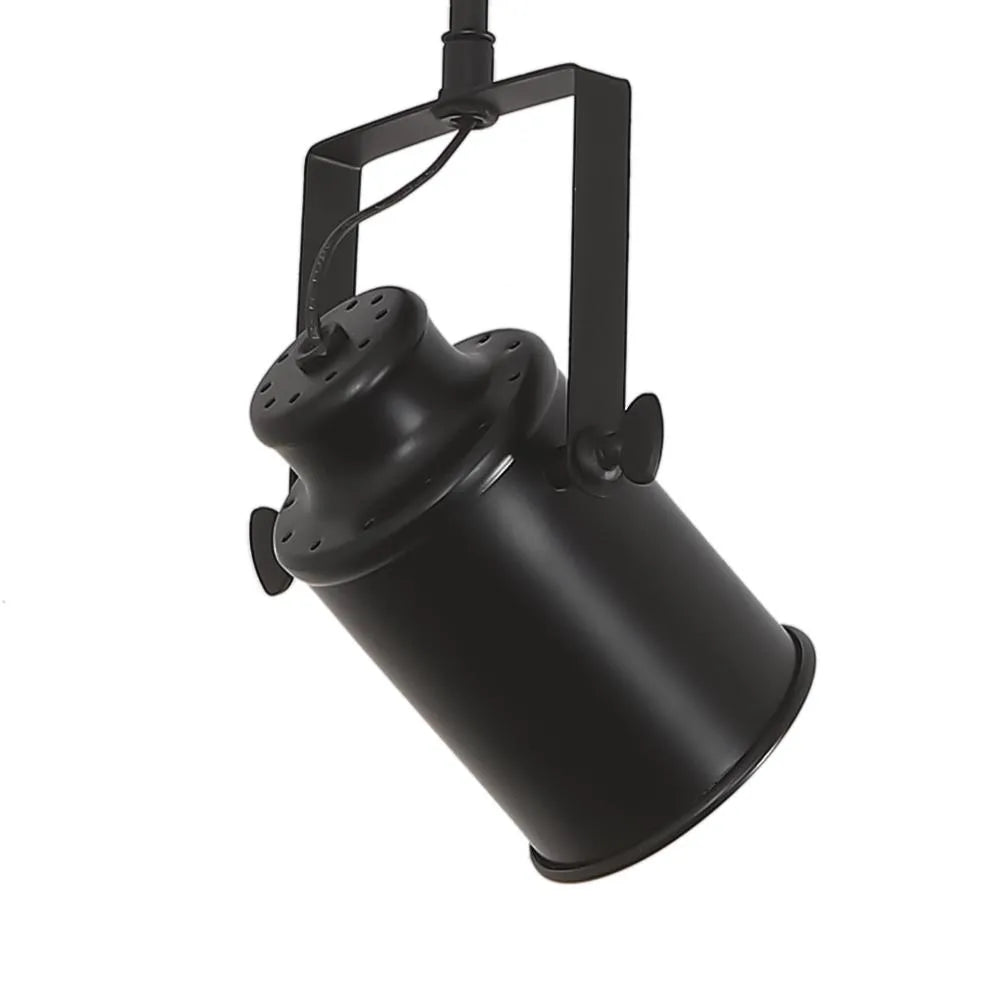 Calven Three-Head Directional Ceiling Light