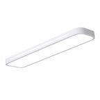 Minimal Linear Flush Mount Ceiling Light